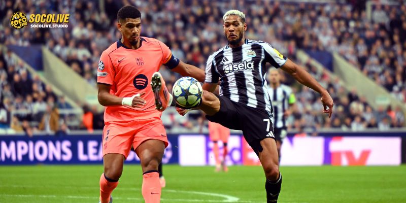 "Chích Chòe" Newcastle quyết tâm tái hiện lịch sử hào hùng trước đại diện đến từ Tây Ban Nha